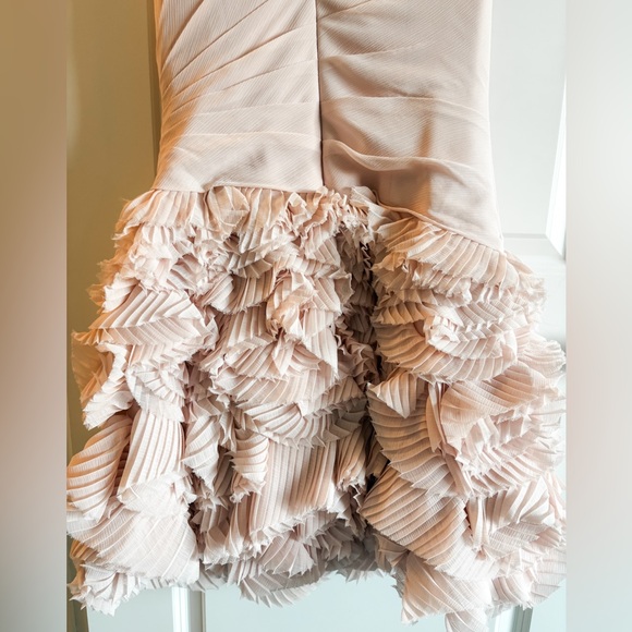 Vera Wang Stunning Blush Ruffle Dress - Picture 6 of 7